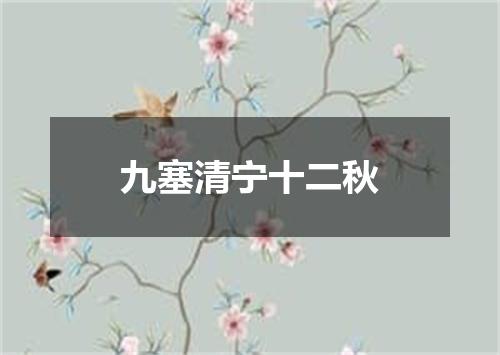 九塞清宁十二秋
