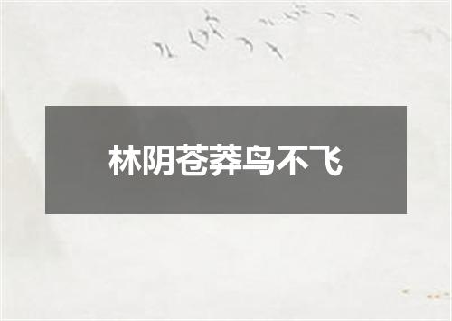 林阴苍莽鸟不飞