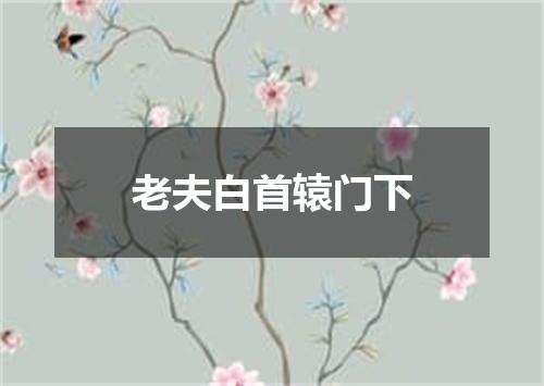老夫白首辕门下