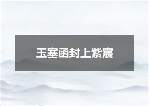 玉塞函封上紫宸