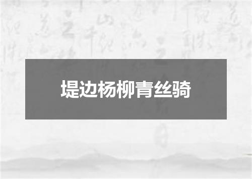 堤边杨柳青丝骑