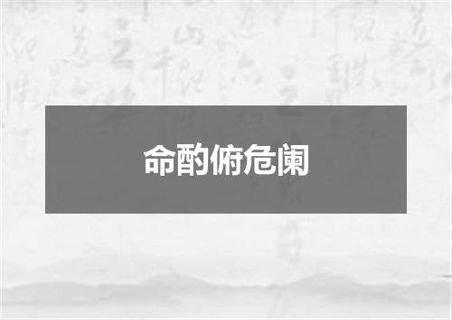 命酌俯危阑