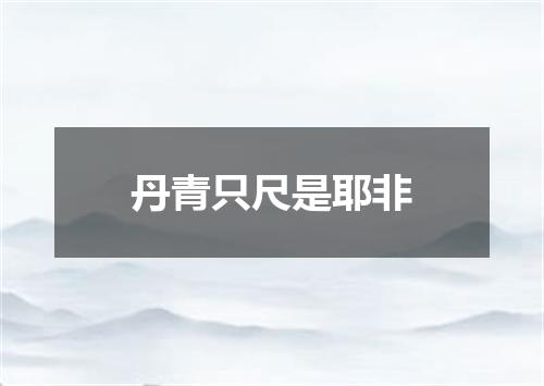 丹青只尺是耶非