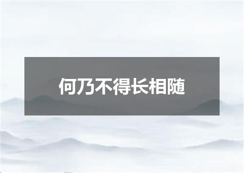 何乃不得长相随