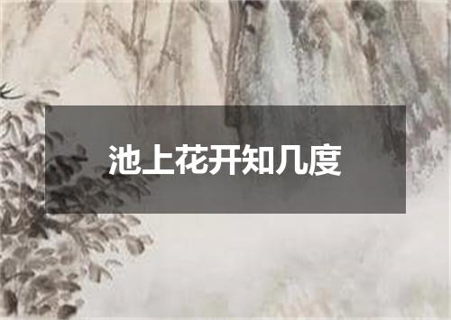 池上花开知几度