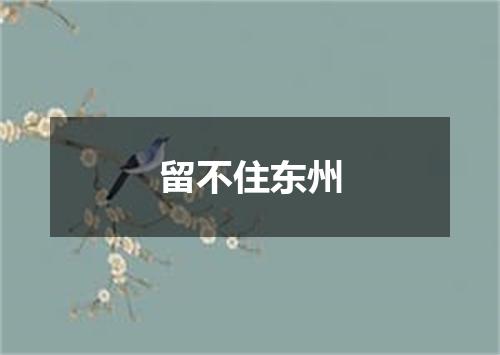 留不住东州