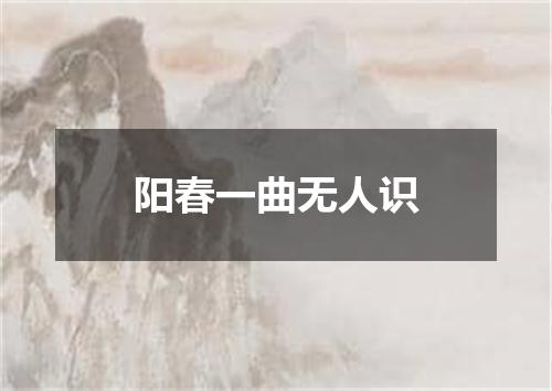 阳春一曲无人识