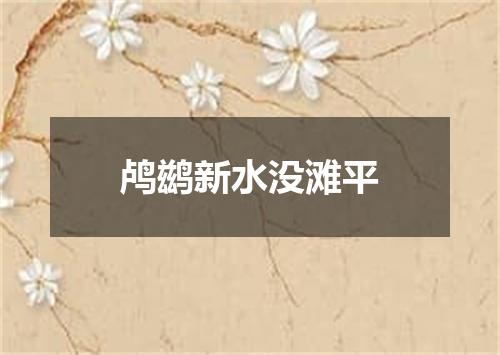 鸬鹚新水没滩平