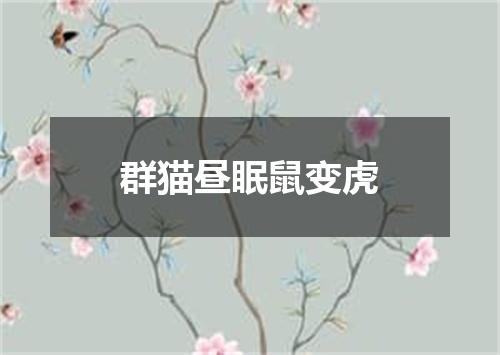 群猫昼眠鼠变虎