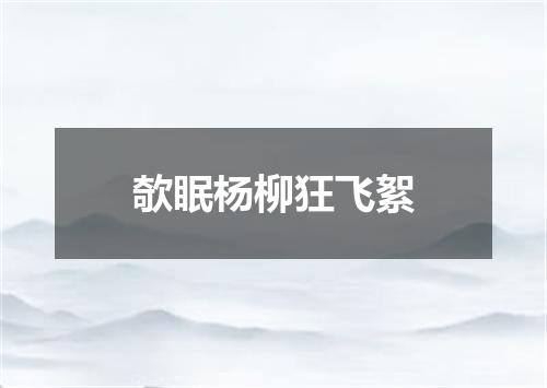 欹眠杨柳狂飞絮