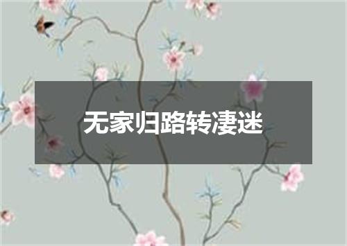 无家归路转凄迷