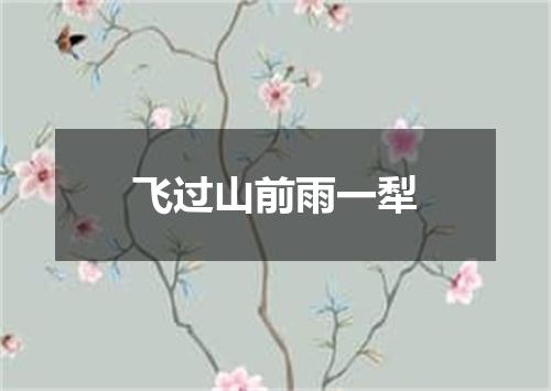 飞过山前雨一犁