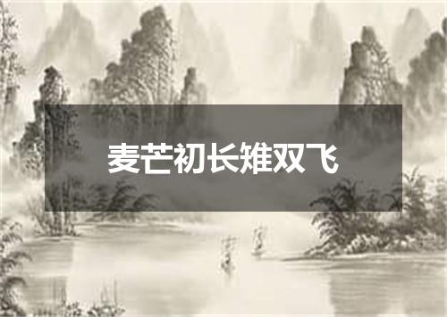 麦芒初长雉双飞