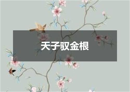 天子驭金根