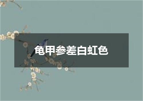 龟甲参差白虹色