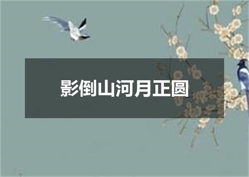 影倒山河月正圆