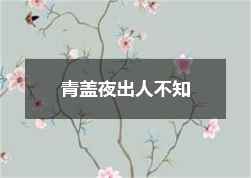 青盖夜出人不知