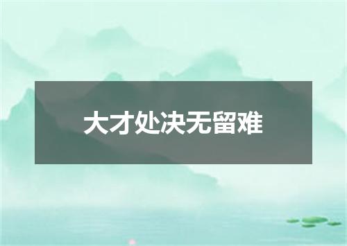 大才处决无留难
