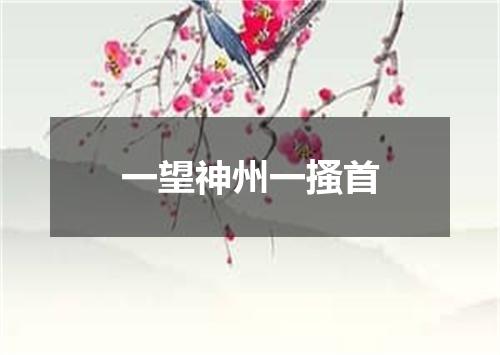 一望神州一搔首
