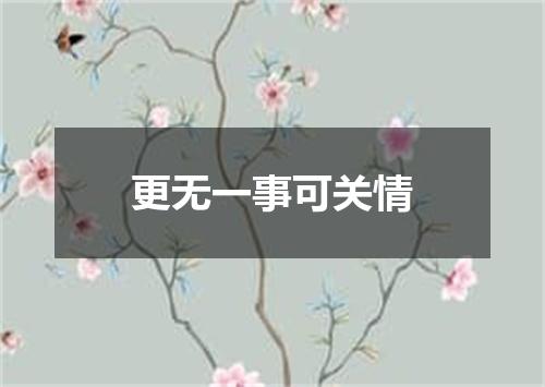 更无一事可关情