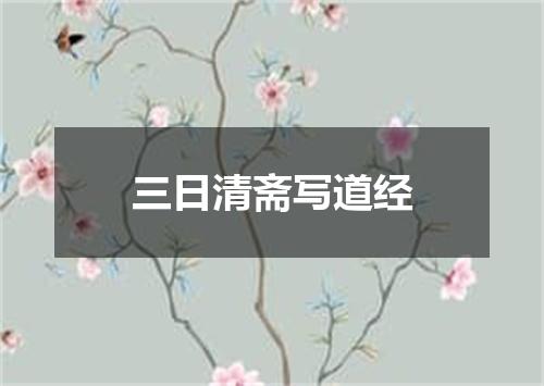 三日清斋写道经