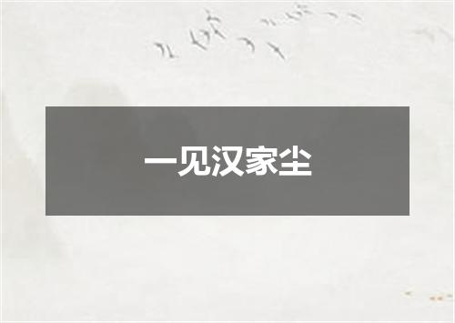 一见汉家尘