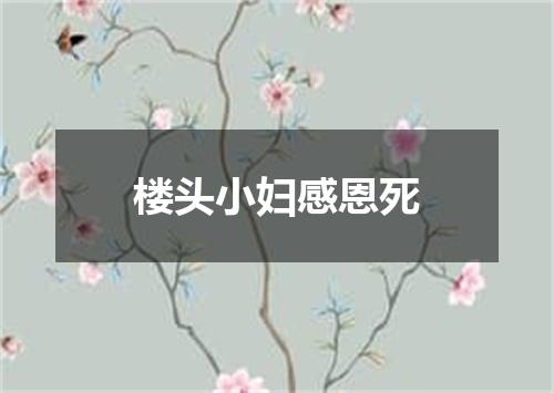 楼头小妇感恩死