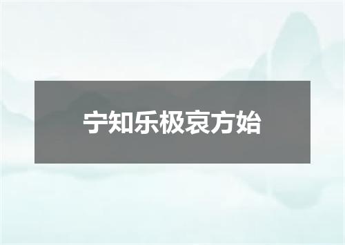 宁知乐极哀方始