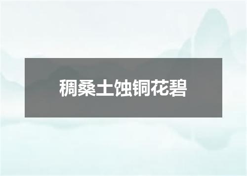 稠桑土蚀铜花碧