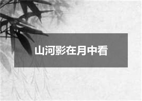 山河影在月中看