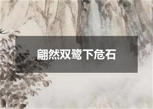 翩然双鹭下危石