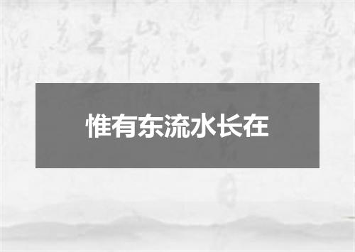 惟有东流水长在