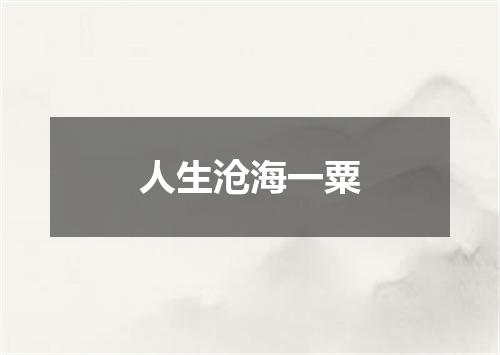 人生沧海一粟