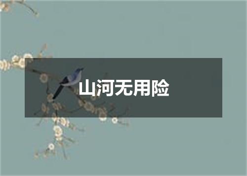 山河无用险