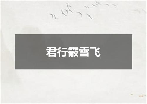 君行霰雪飞