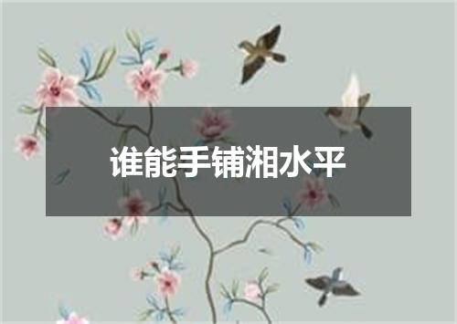 谁能手铺湘水平