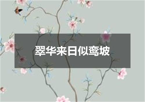 翠华来日似鸾坡