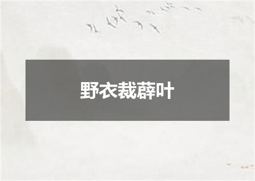 野衣裁薜叶