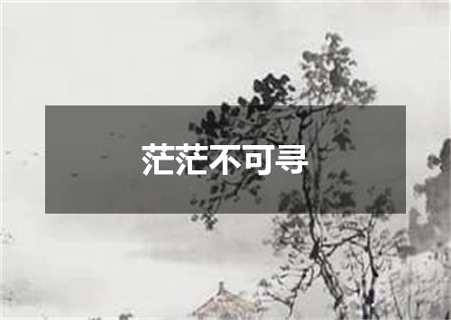 茫茫不可寻