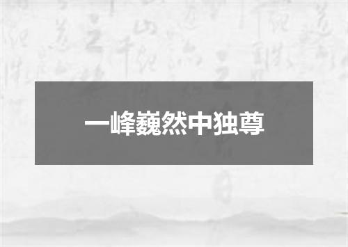 一峰巍然中独尊