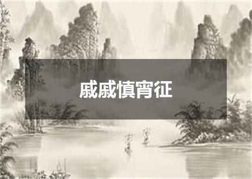 戚戚慎宵征