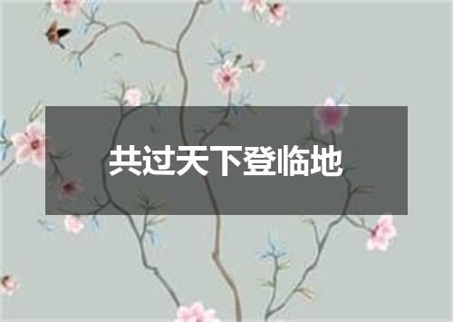 共过天下登临地