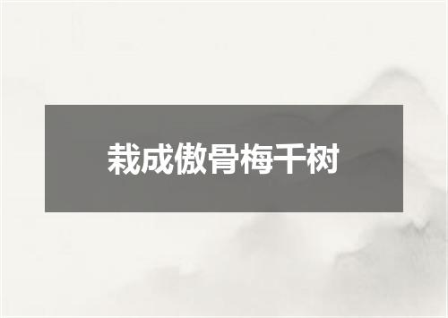 栽成傲骨梅千树