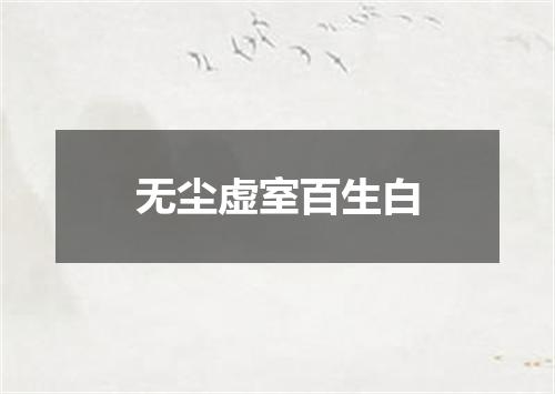 无尘虚室百生白