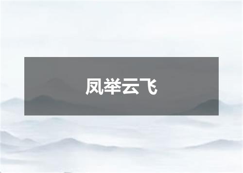凤举云飞