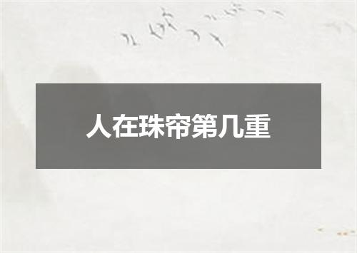 人在珠帘第几重
