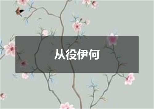 从役伊何