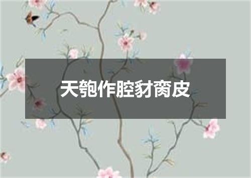 天匏作腔豺脔皮