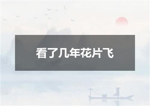 看了几年花片飞