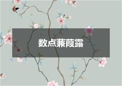 数点蒹葭露